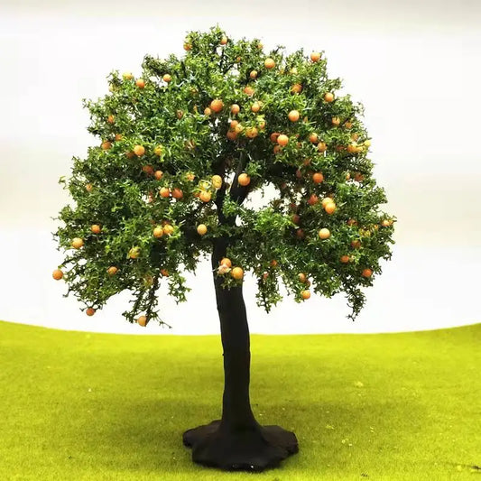 Oranger, arbre fruitier, hauteur 17-27cm