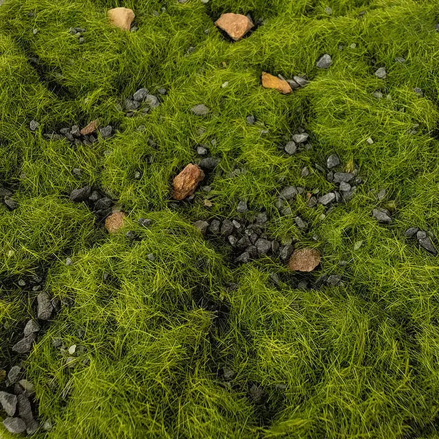 Touffes d'herbes, échelle H0, sachet de 50 grammes