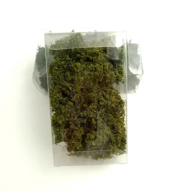 Tuft of moss, bag 