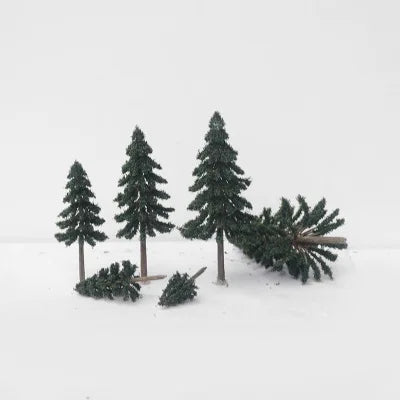 Sapins, cèdre, 5-7 cm