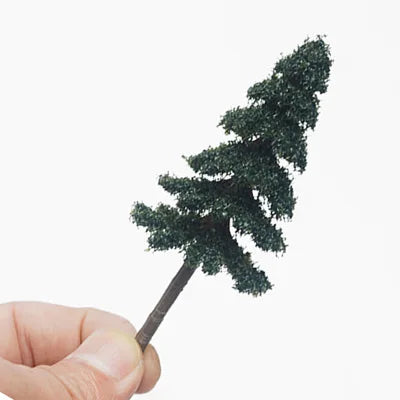 Fir trees, cedar, 5-7 cm 