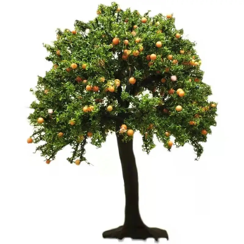 Orangenbaum, Obstbaum, Höhe 17-27cm 