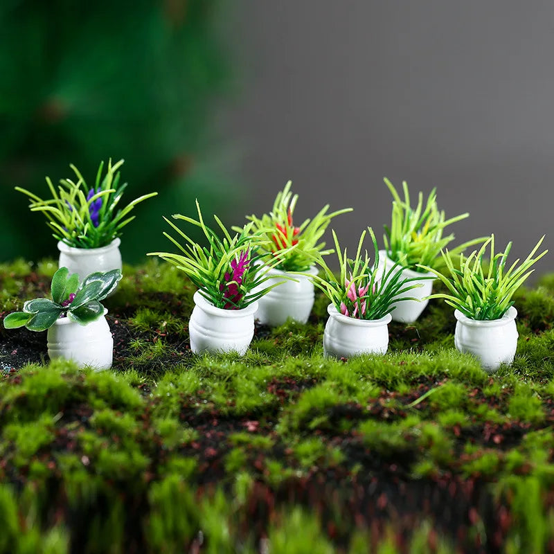 Plantes mixtes en pot/herbe miniatures, 20 pièces