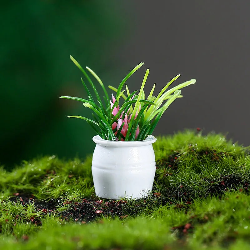 Plantes mixtes en pot/herbe miniatures, 20 pièces