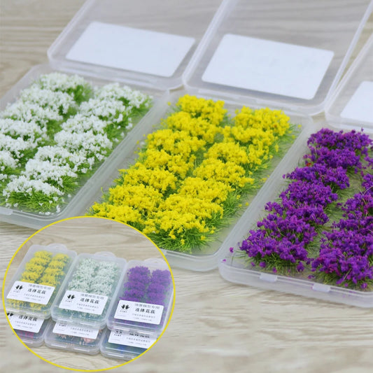 Miniature Grass of Jointed Flowers, 1 Box 