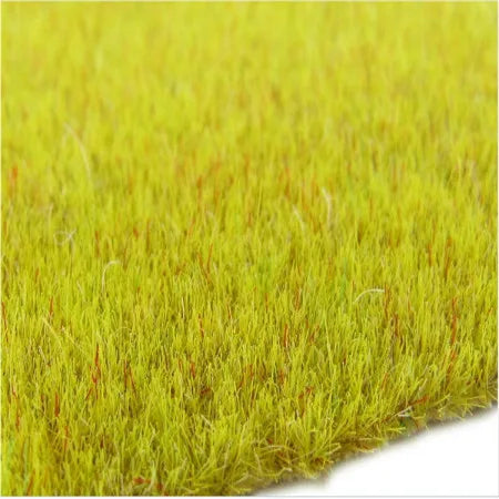 Tapis de paysage d'herbe 25cm x 25cm